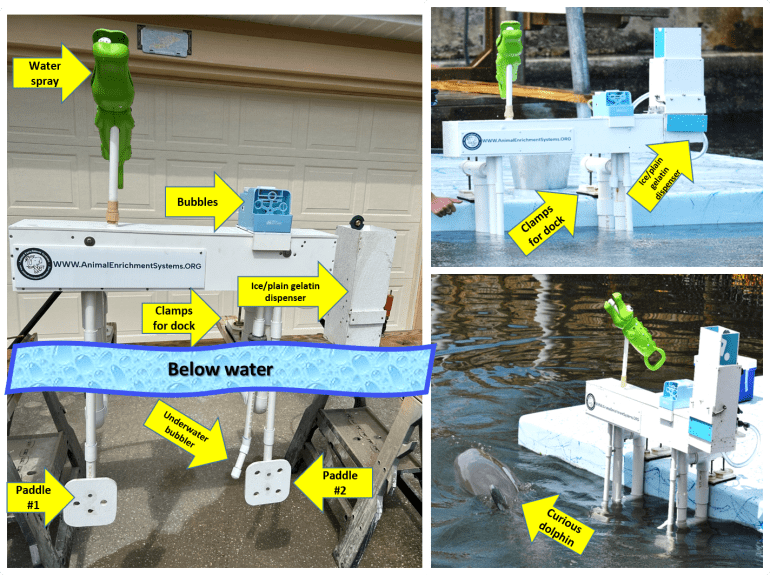 Introducing the new and improved DESY (Dolphin Enrichment System ...
